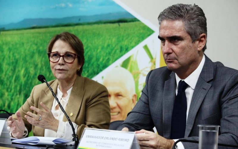 Acordo Mercosul-UE vai aumentar a competitividade da agricultura brasileira, diz ministra