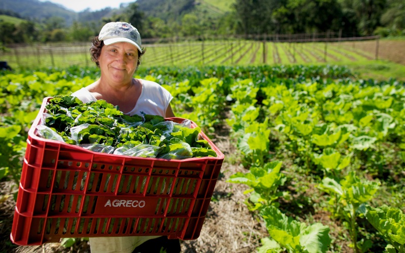 Cooperativas são importantes para mulheres do campo, mas poucas têm poder de decisão