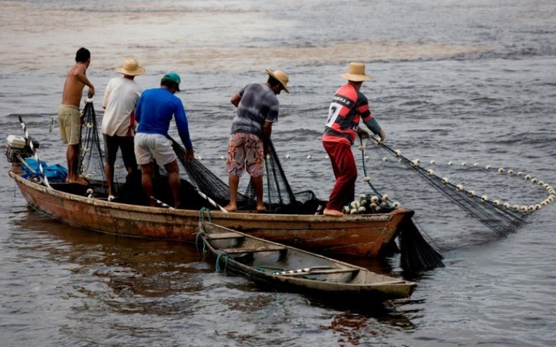 Registros de pescadores artesanais serão reavaliados para evitar fraudes