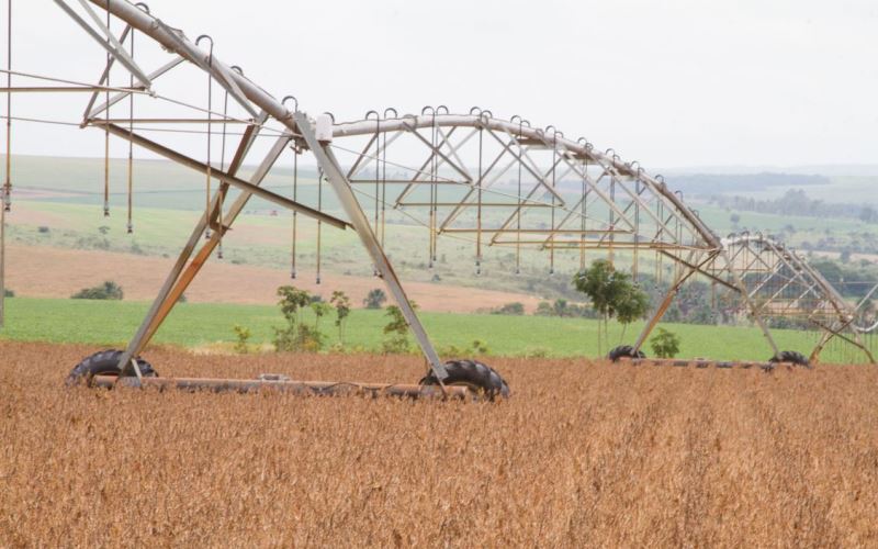 Safra de grãos fecha 2019 com recorde de 241,5 milhões de toneladas