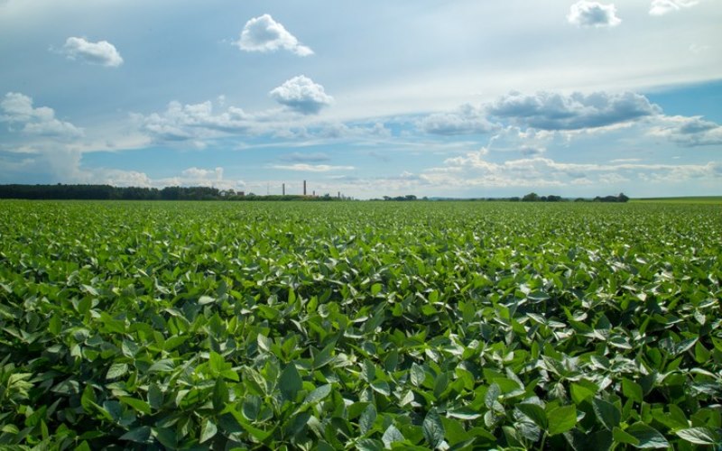 Produtores contrataram R$ 108,5 bilhões nos primeiros seis meses da atual safra para financiar agricultura