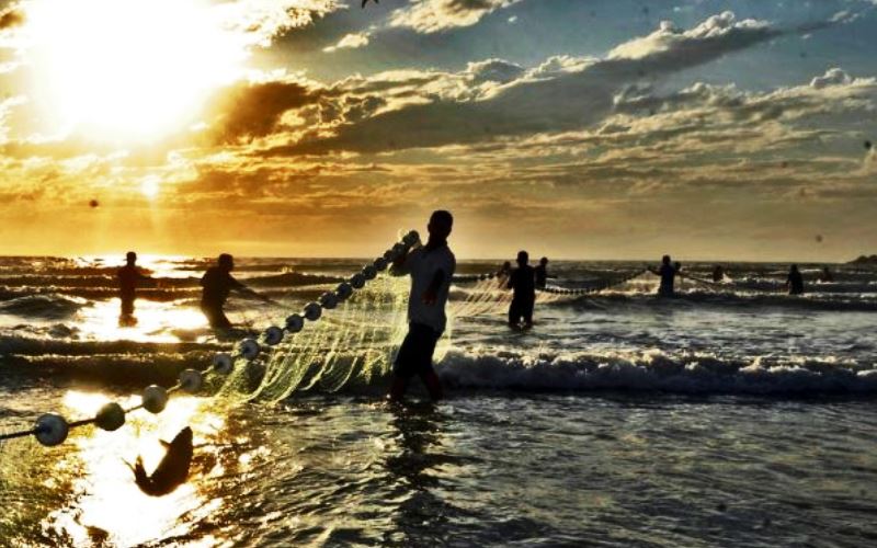 Governo do Estado publica medidas de proteção para pesca de arrasto de praia de tainha