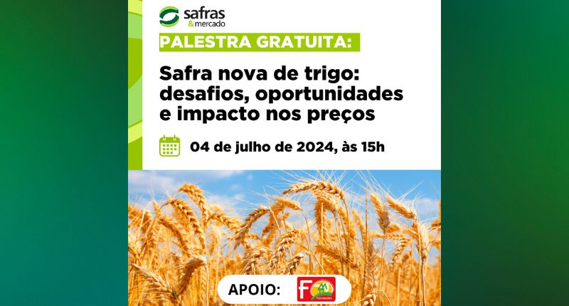 Live enfoca “Safra Nova de Trigo: Desafios, Oportunidades e Impacto nos Preços”